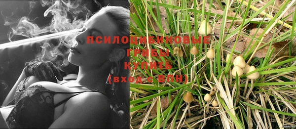 амф Алексеевка