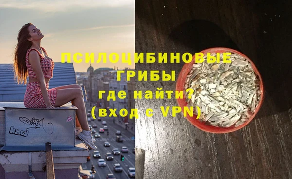 apvp Алексин