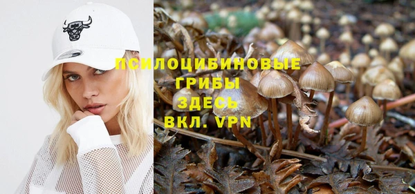 амф Алексеевка