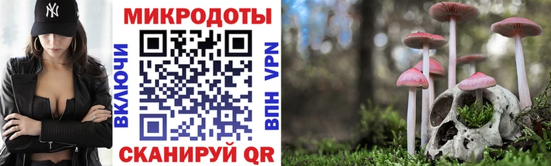 Купить где  Вилюйск  Псилоцибиновые грибы Psilocybe 